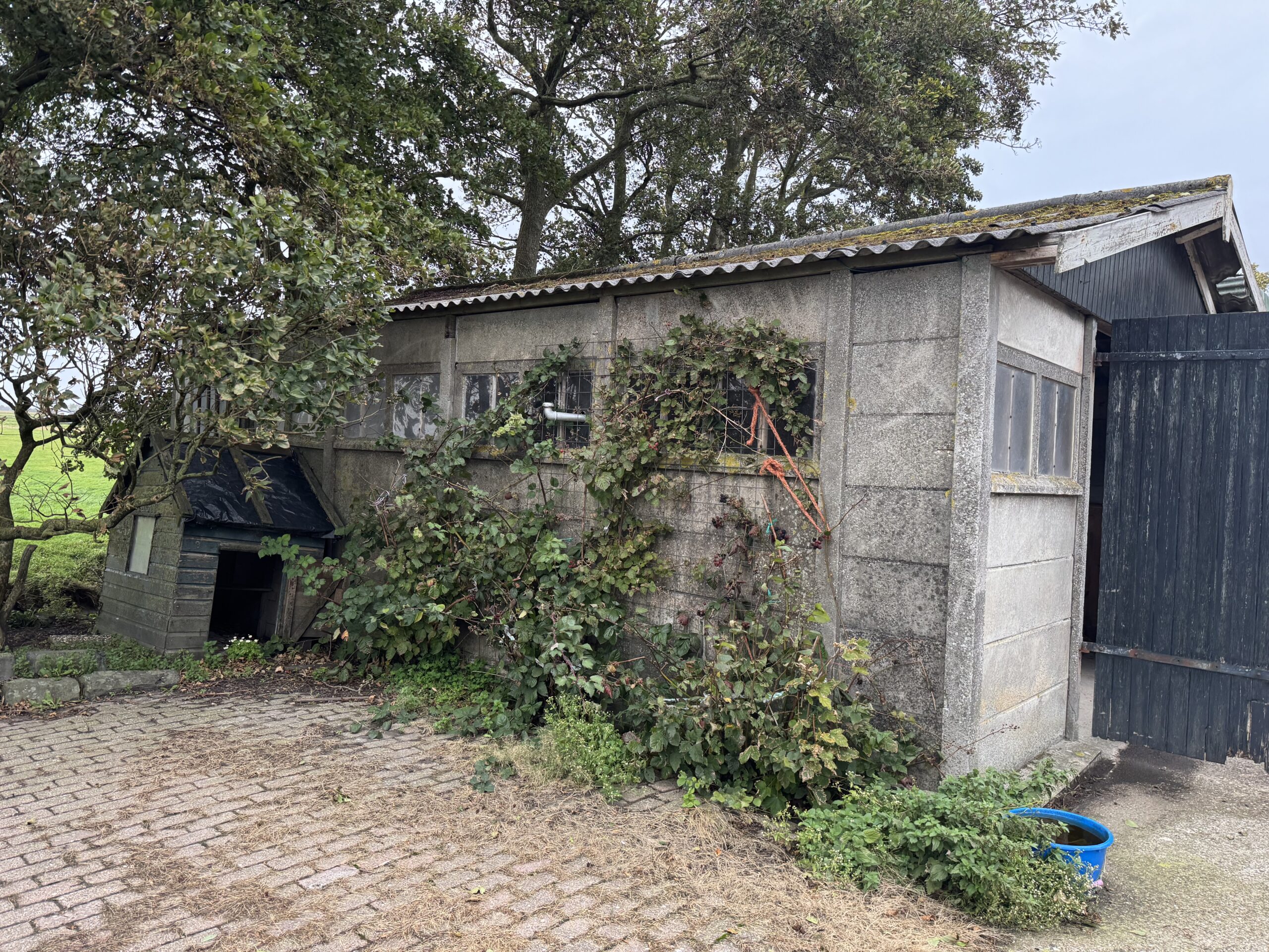 image_3